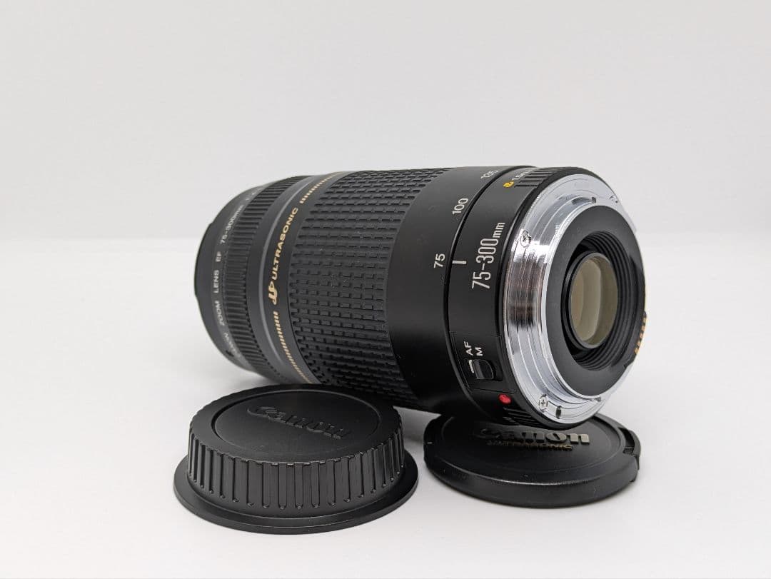 11月30日限定【超望遠レンズ】Canon EF 75-300mm Ⅱ USM