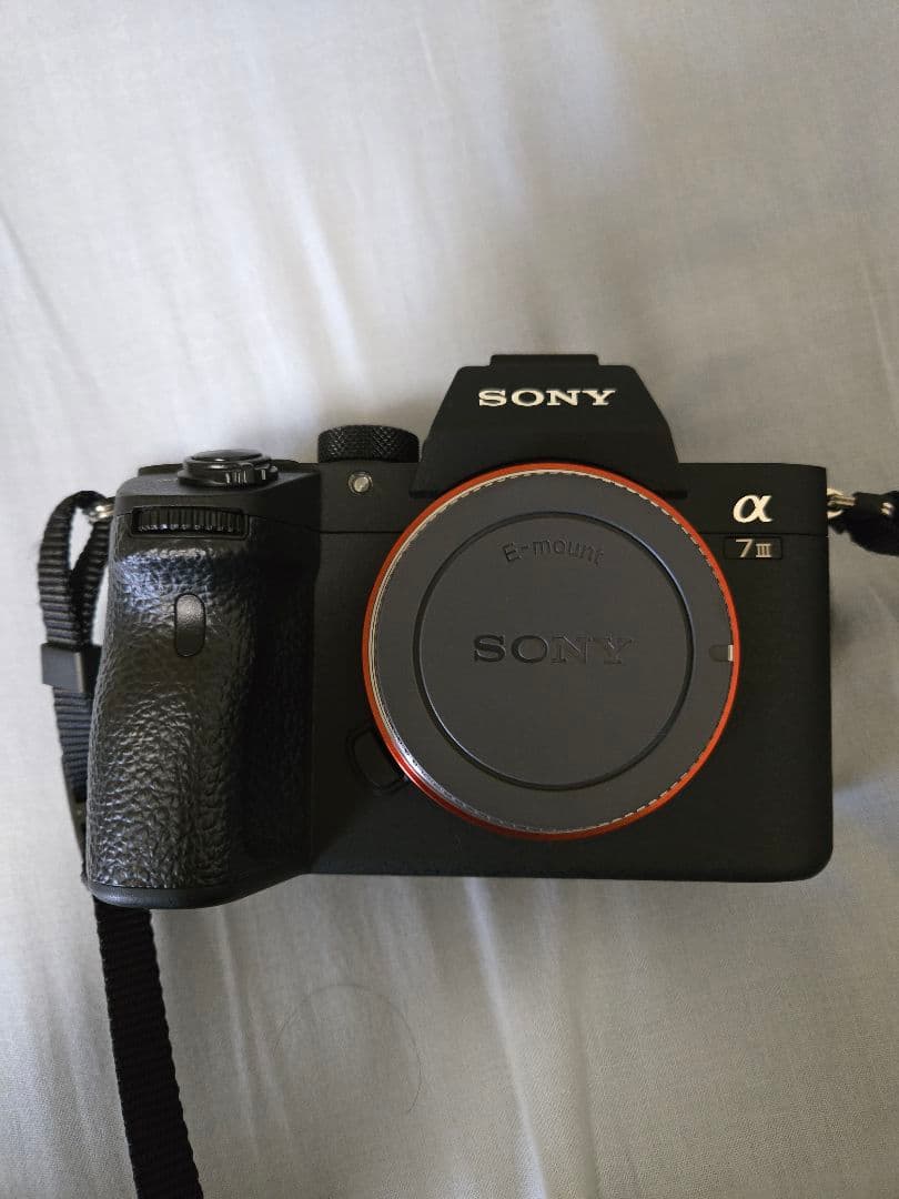 SONY α7 III + TAMRON 28-200mm