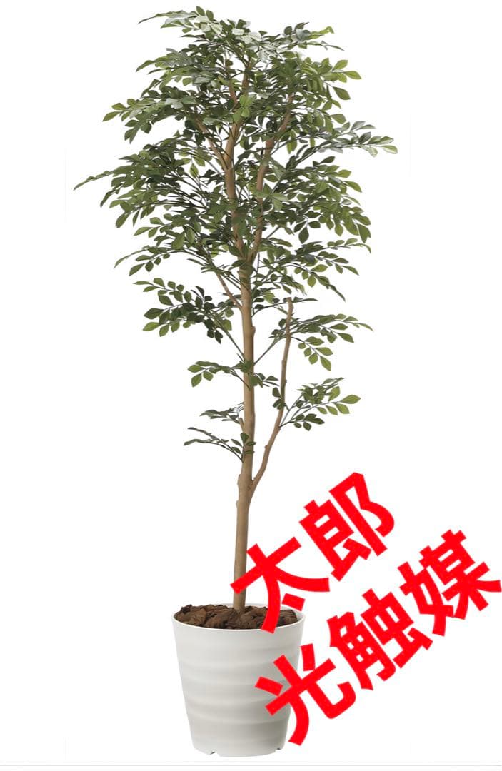 光触媒　人工観葉植物　ウォールグリーン　フェイクグリーン　トネリコ1.6m