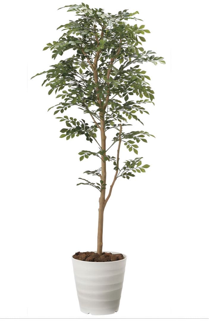 光触媒　人工観葉植物　ウォールグリーン　フェイクグリーン　トネリコ1.6m
