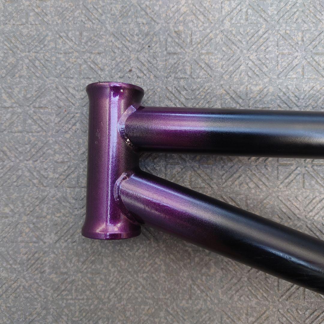 Flybikes Tierra Frame　BMXフレーム