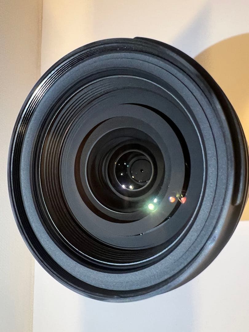 Lia　TAMRON 17-70mm F/2.8 Di III-A VC