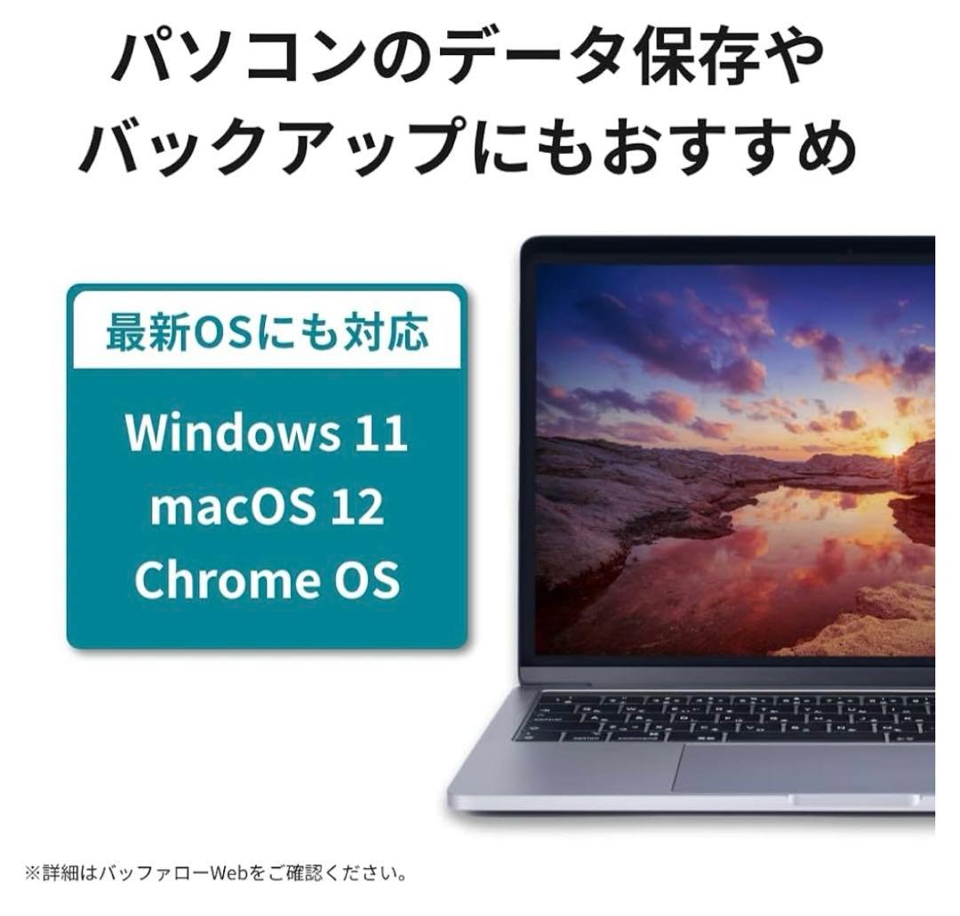 11049 バッファロー 外付けハードディスク 2TB