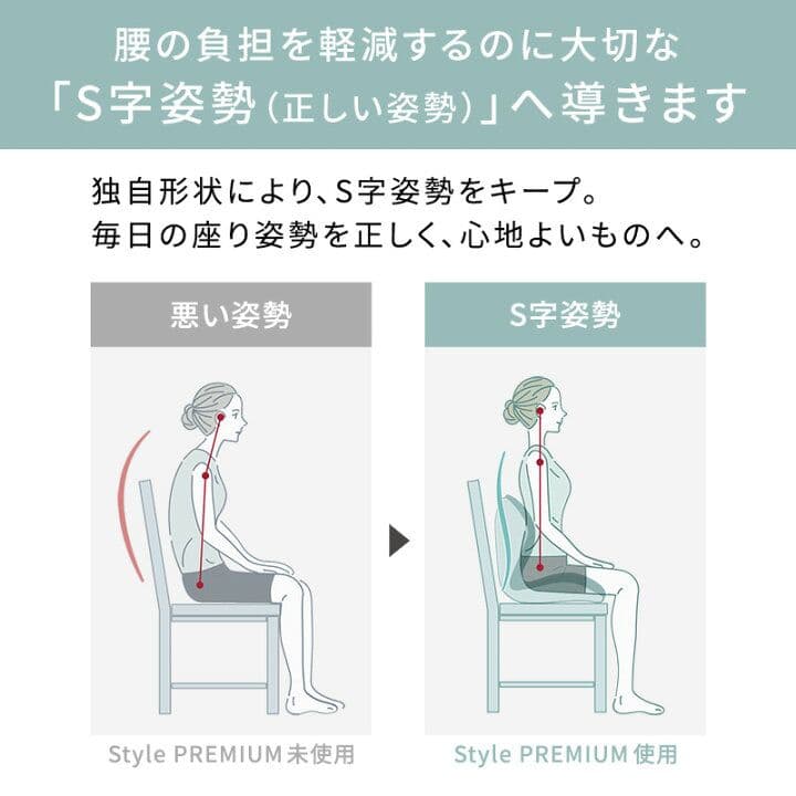 Style PREMIUM 姿勢矯正シート 黒色 YS-AL03A 説明書付