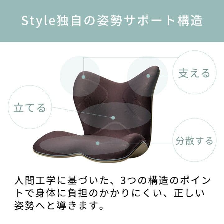 Style PREMIUM 姿勢矯正シート 黒色 YS-AL03A 説明書付