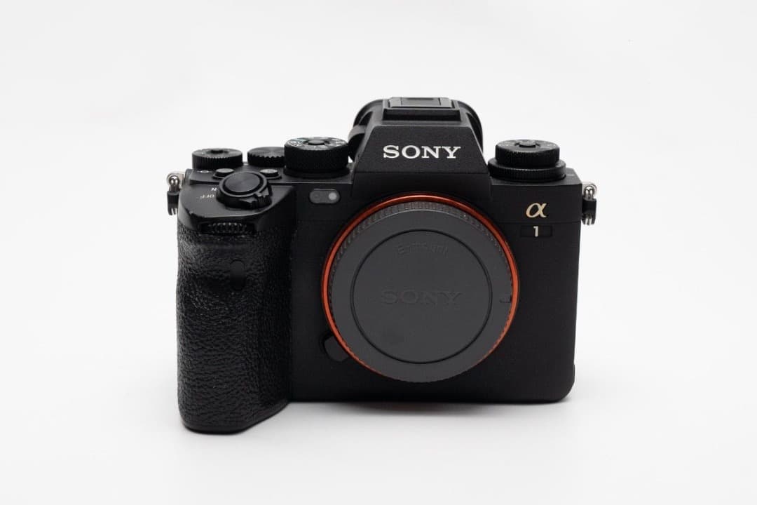 SONY α1 ILCE-1 ショット数7631枚