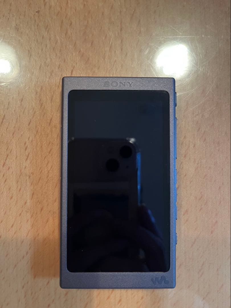 SONY ウォークマン NW-A45 グレイッシュブラック