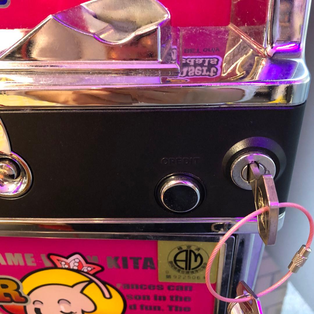 スロットマシン 北電子 家庭用電源 パチスロ実機　ラブリージャグラー