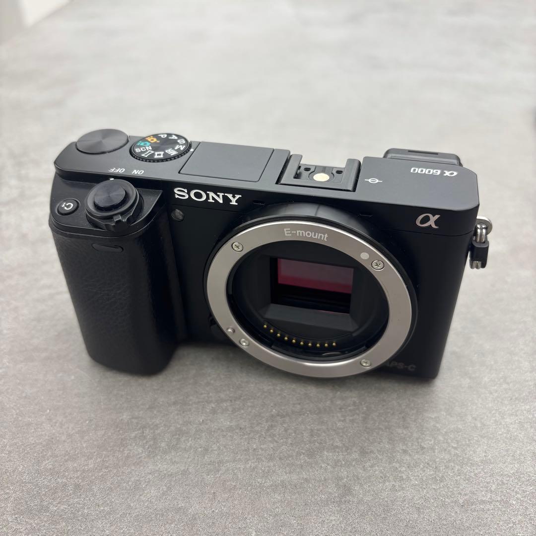 ミ*ギ様 SONY α6000 ミラーレス一眼カメラ レンズセット+ SEL35