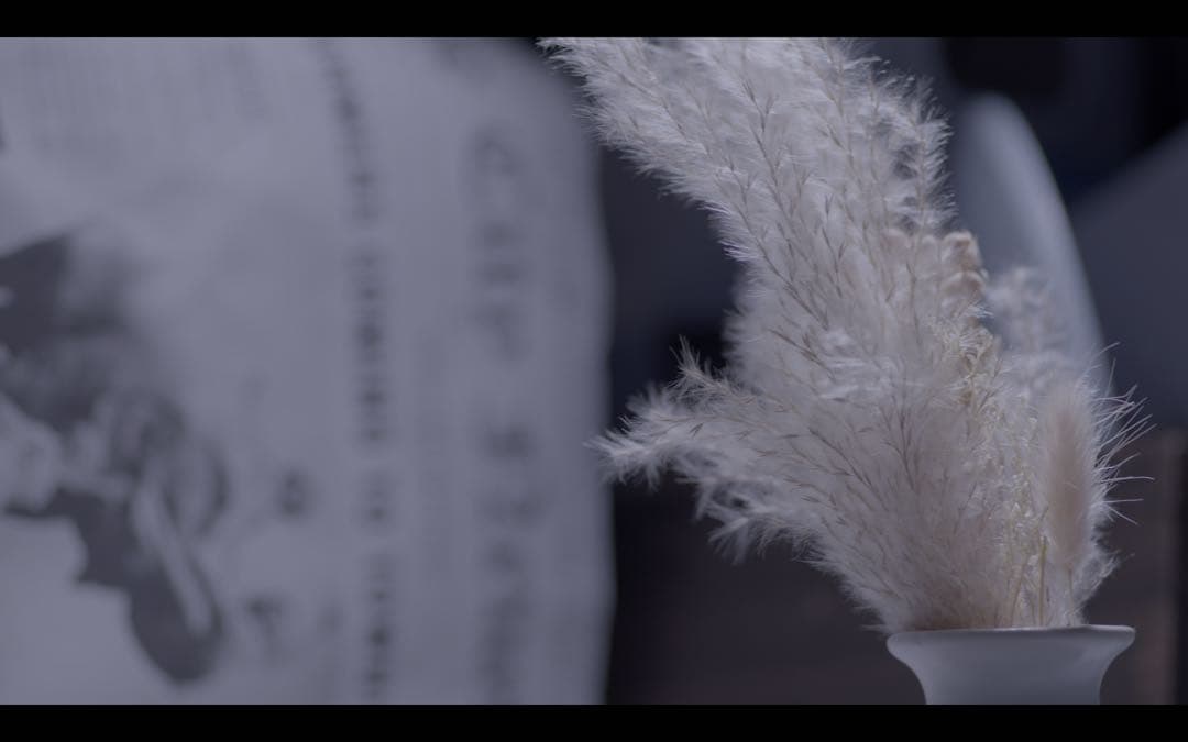 作例有CARL ZEISS 135mm f3.5 m42マウント