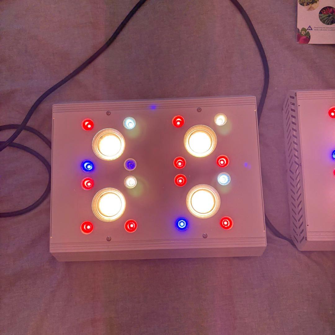 hipargero HG800 2台　育成ライト　バラ売り可能