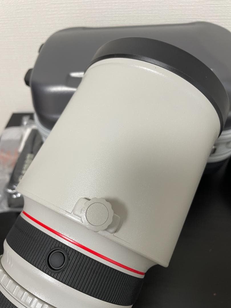 Canon 単焦点望遠レンズ EF300mm F2.8L IS II USM