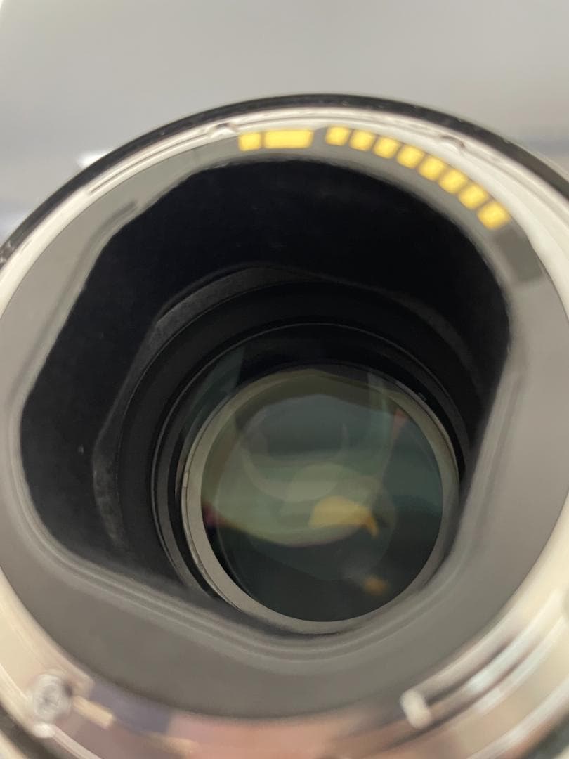 Canon 単焦点望遠レンズ EF300mm F2.8L IS II USM