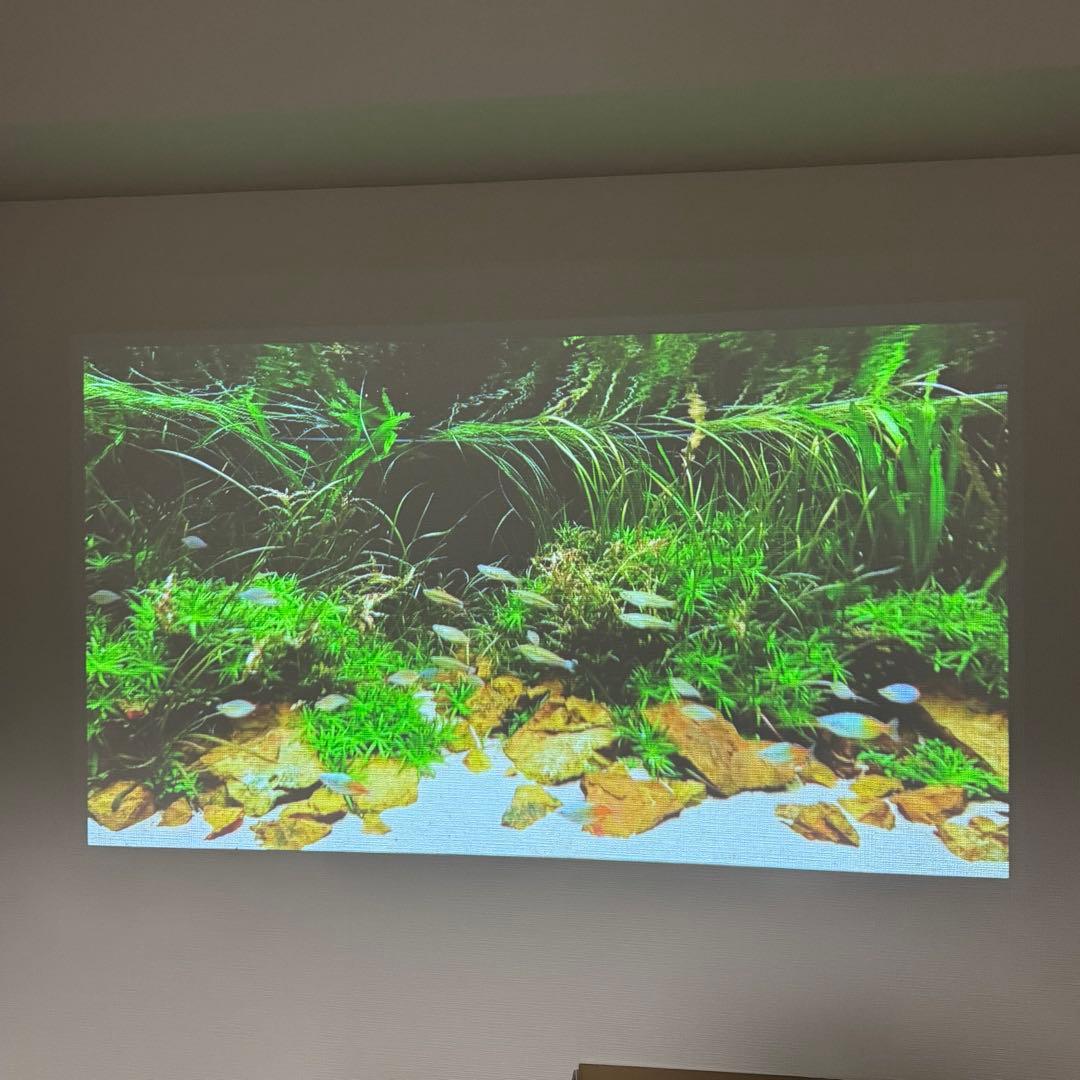 popin Aladdin2 ドット抜けなし2021年製