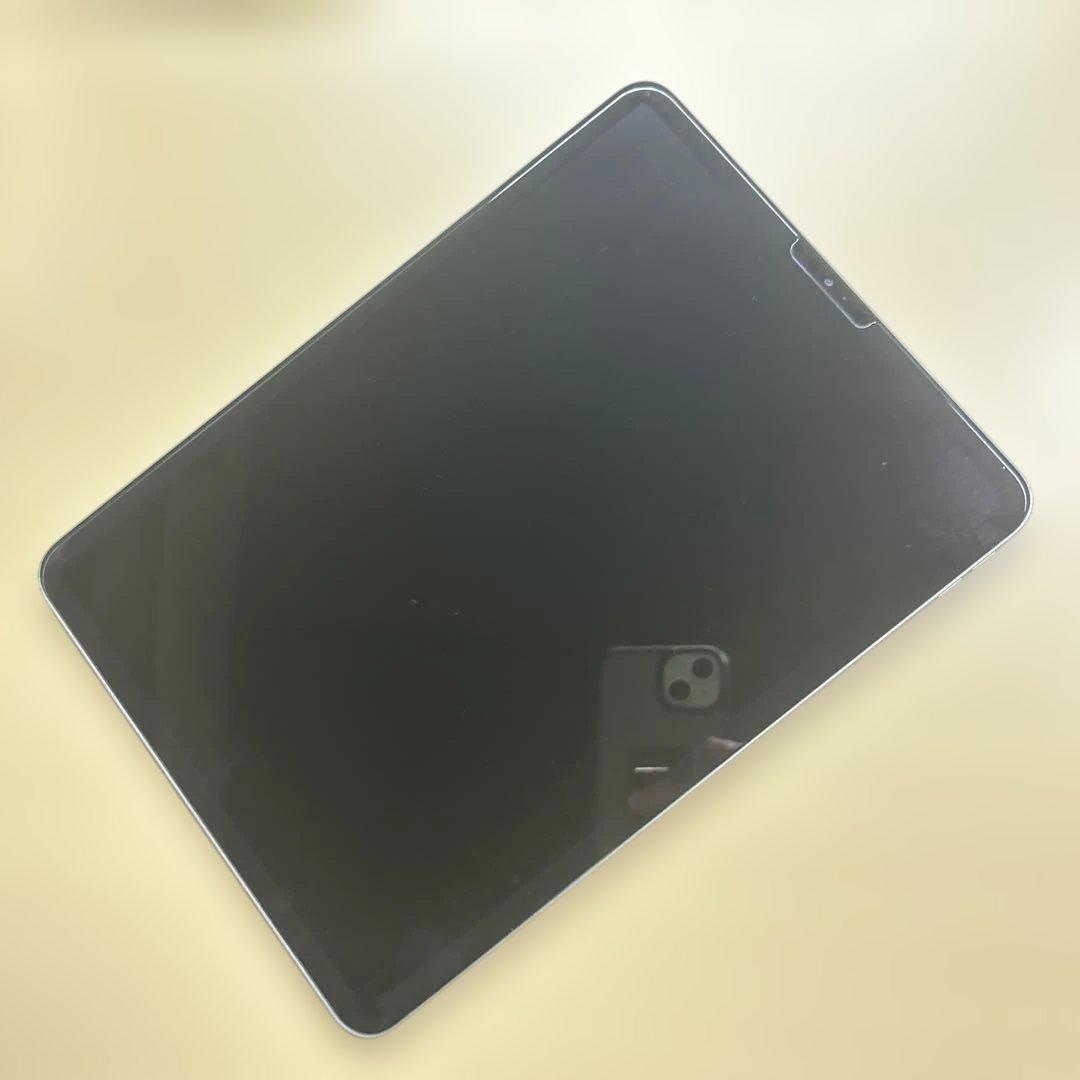 iPad Pro 11インチ　第1世代　64GB Wi-Fi 液晶不良あり