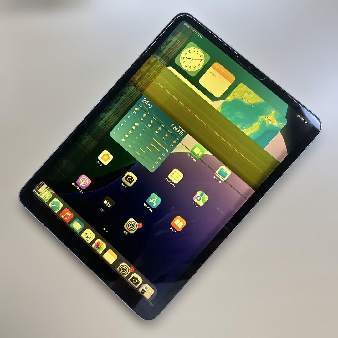 iPad Pro 11インチ　第1世代　64GB Wi-Fi 液晶不良あり