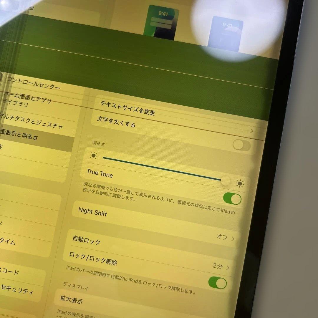 iPad Pro 11インチ　第1世代　64GB Wi-Fi 液晶不良あり