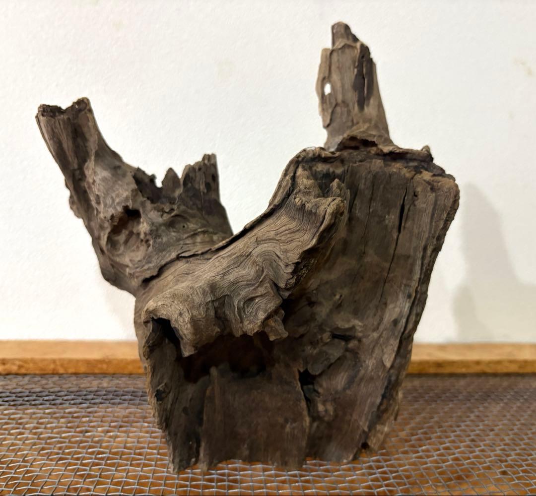 流木 水槽 爬虫類　レイアウト用品　3サイズセット