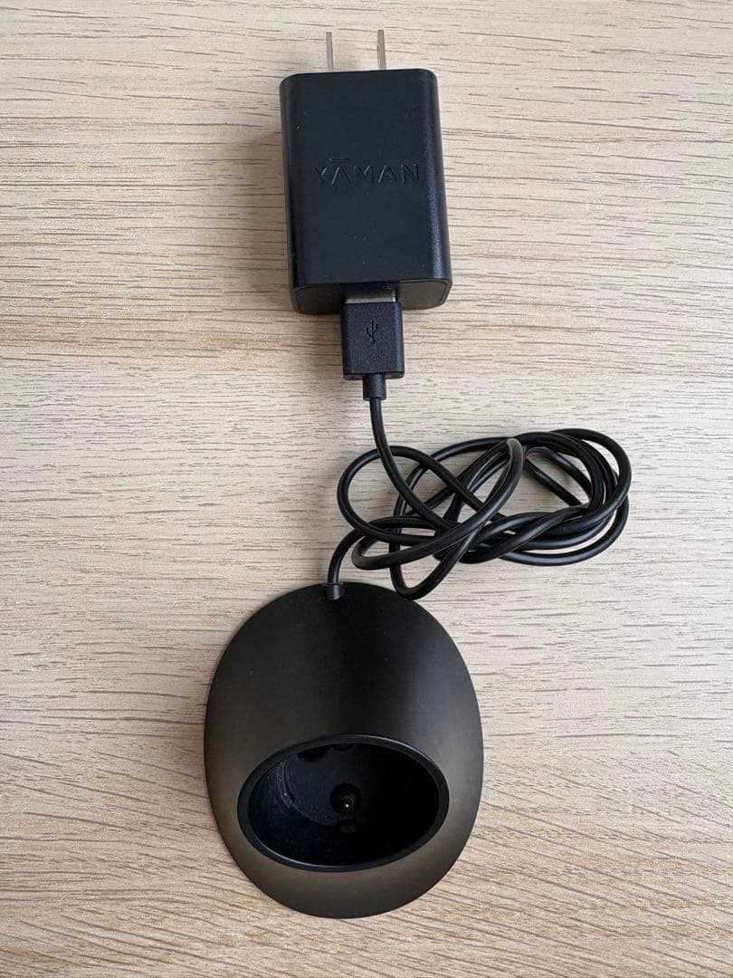 ヴェーダスカルプブラシ BS for Salon