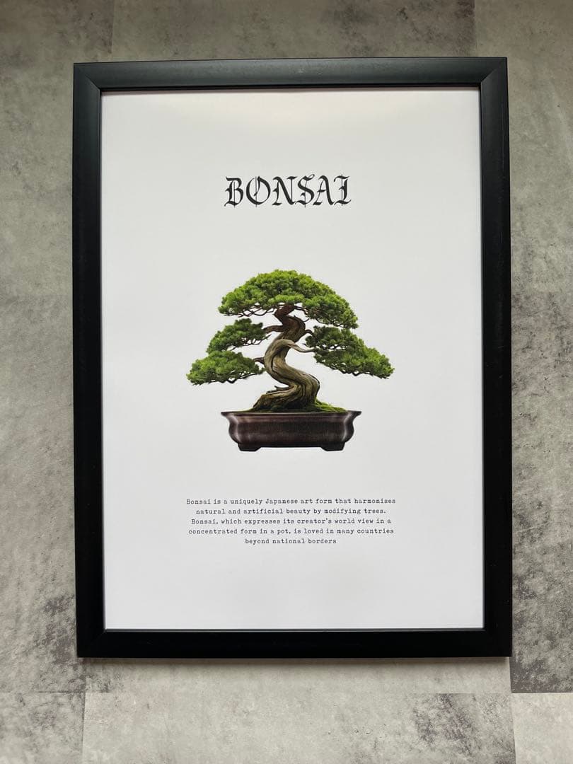 MACCHO †13† さん用　フレーム無しセット