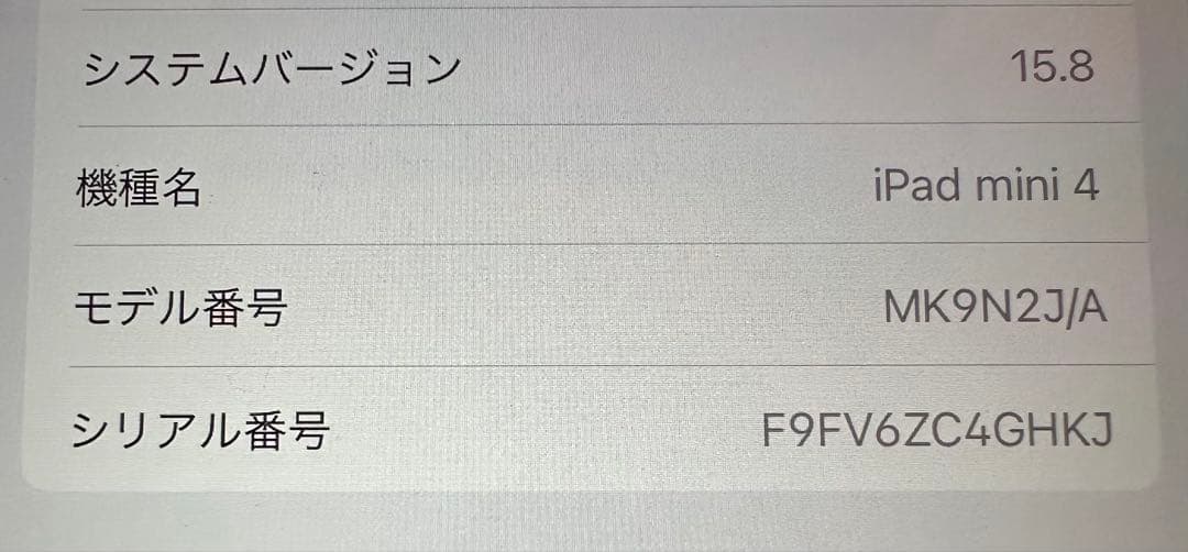 Apple iPad mini 4 【128GB】 本体のみ/箱あり