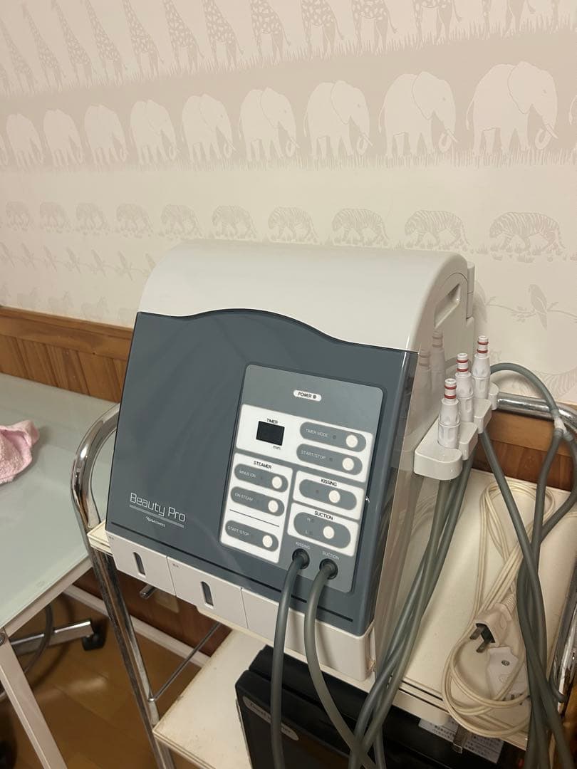 ナリス　ビューティプロ　スチーマー