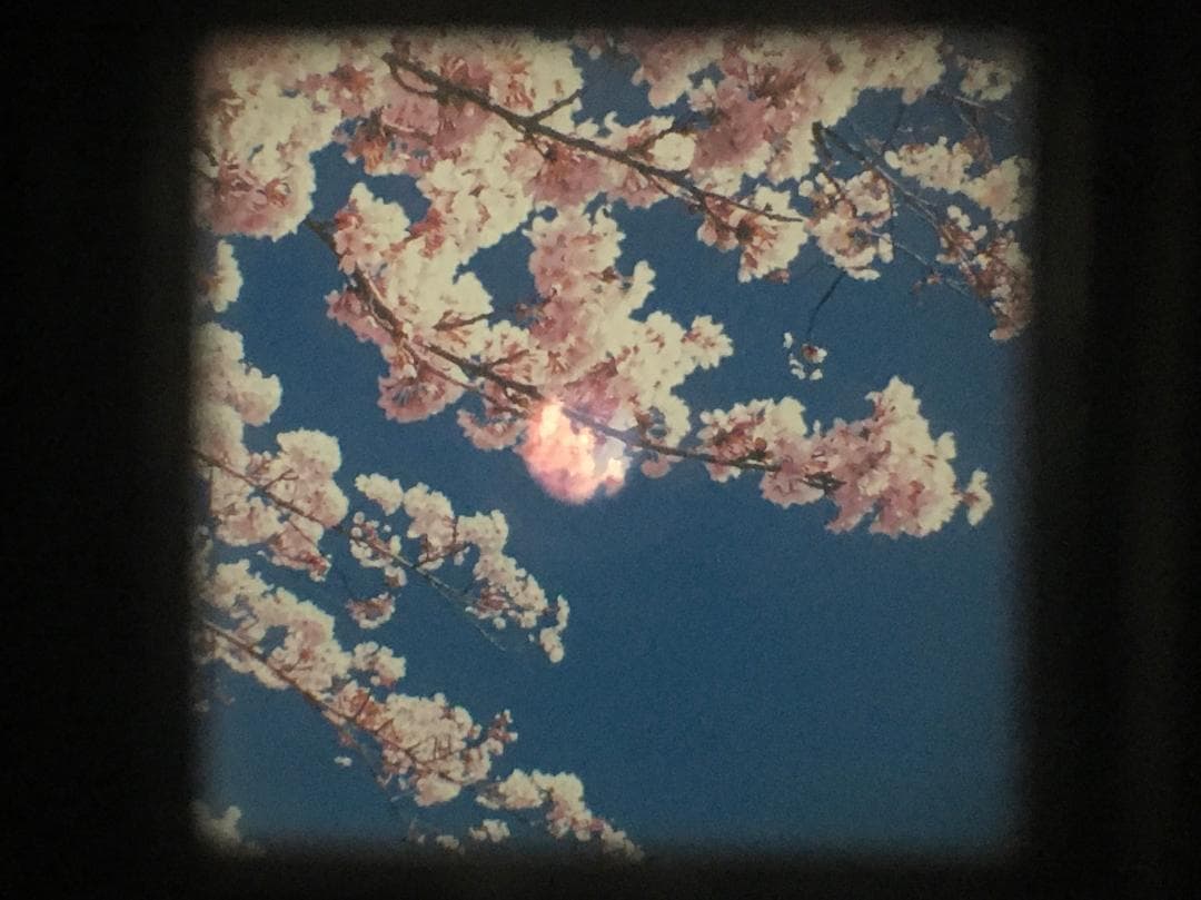 【整備済　美品】ディープブルー Mamiya-6 IVB 75mm f3.5