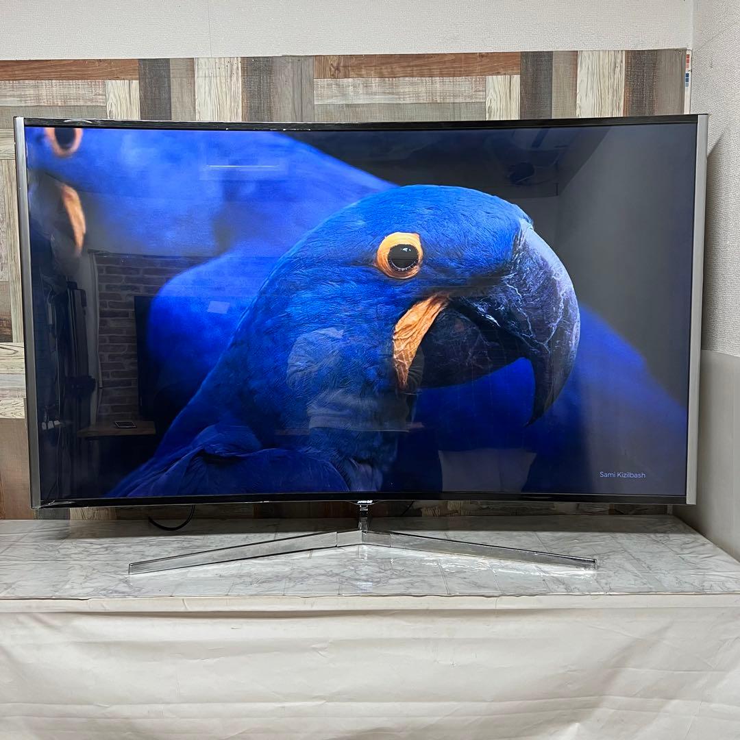 即日受渡❣️全国送料込世界初曲面65型4K液晶ディスプレイ臨場感溢れる視覚体験