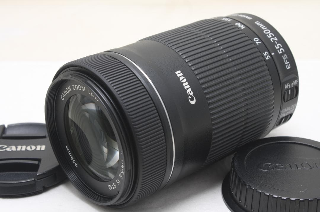 キヤノン EF-S 55-250mm F4-5.6 IS STM 4519