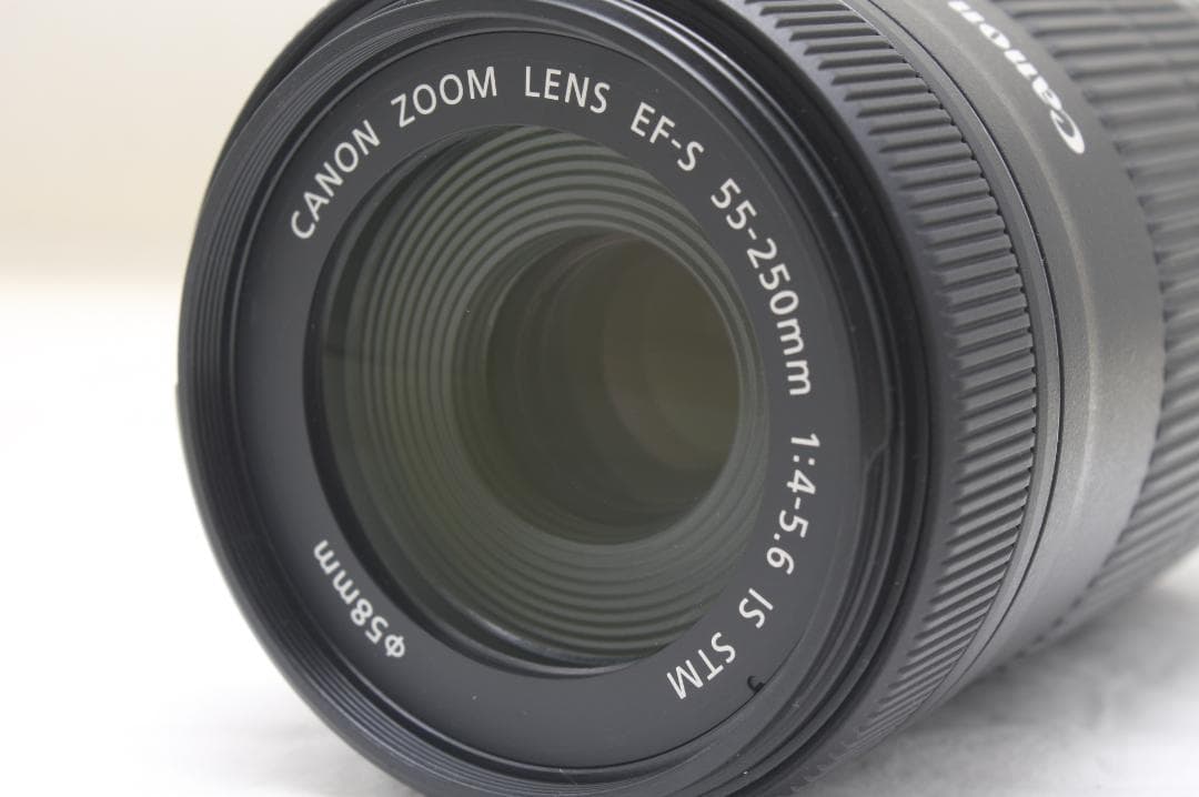 キヤノン EF-S 55-250mm F4-5.6 IS STM 4519