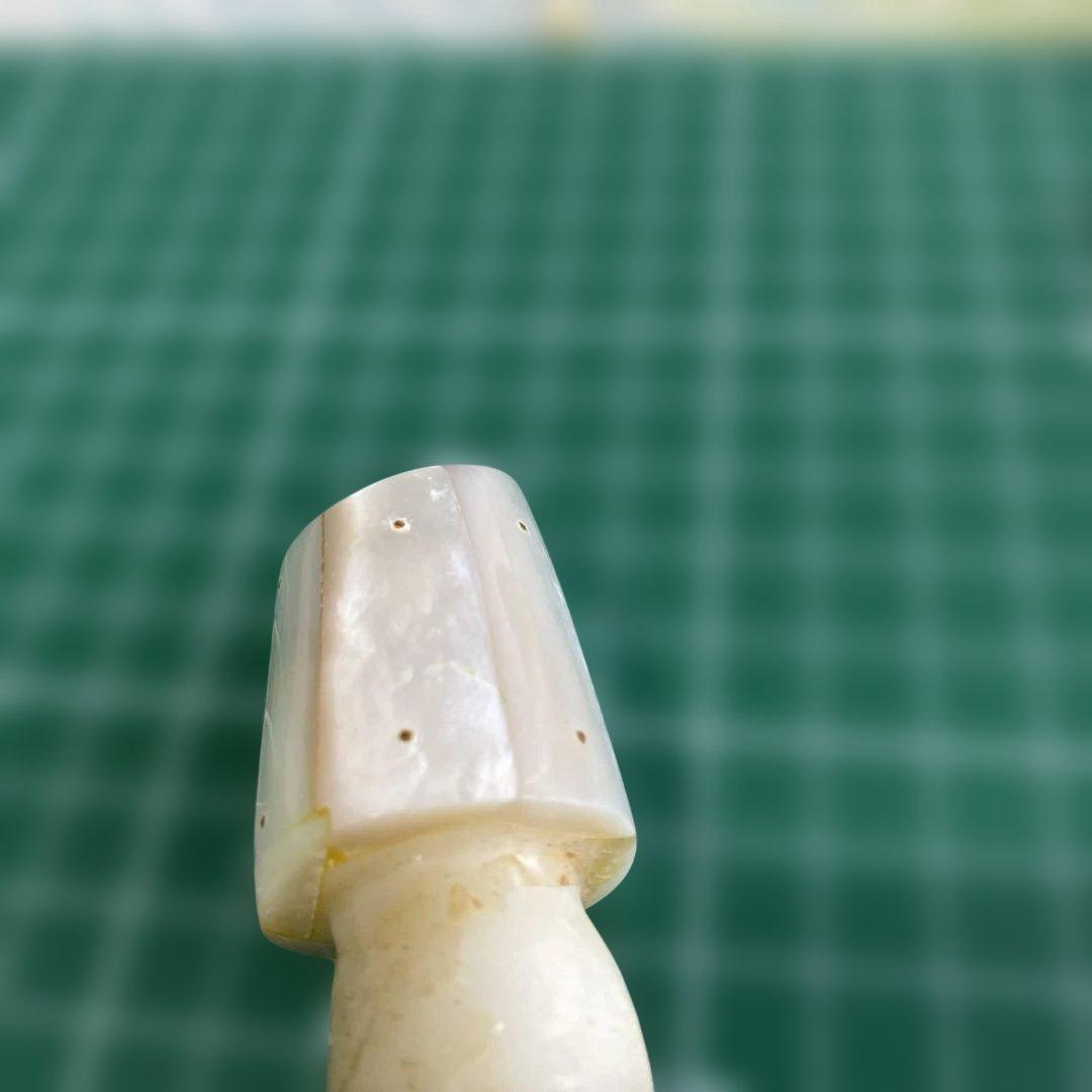 白蝶貝トローリングヘッド　6面張り合わせビス留め