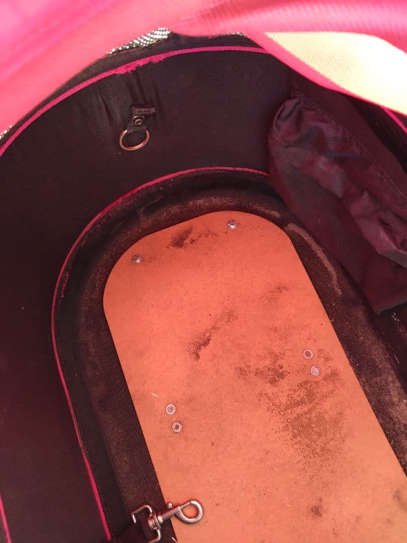 AirBuggy　エアバギー　DOME1？　ラージ？　神奈川　引取限定