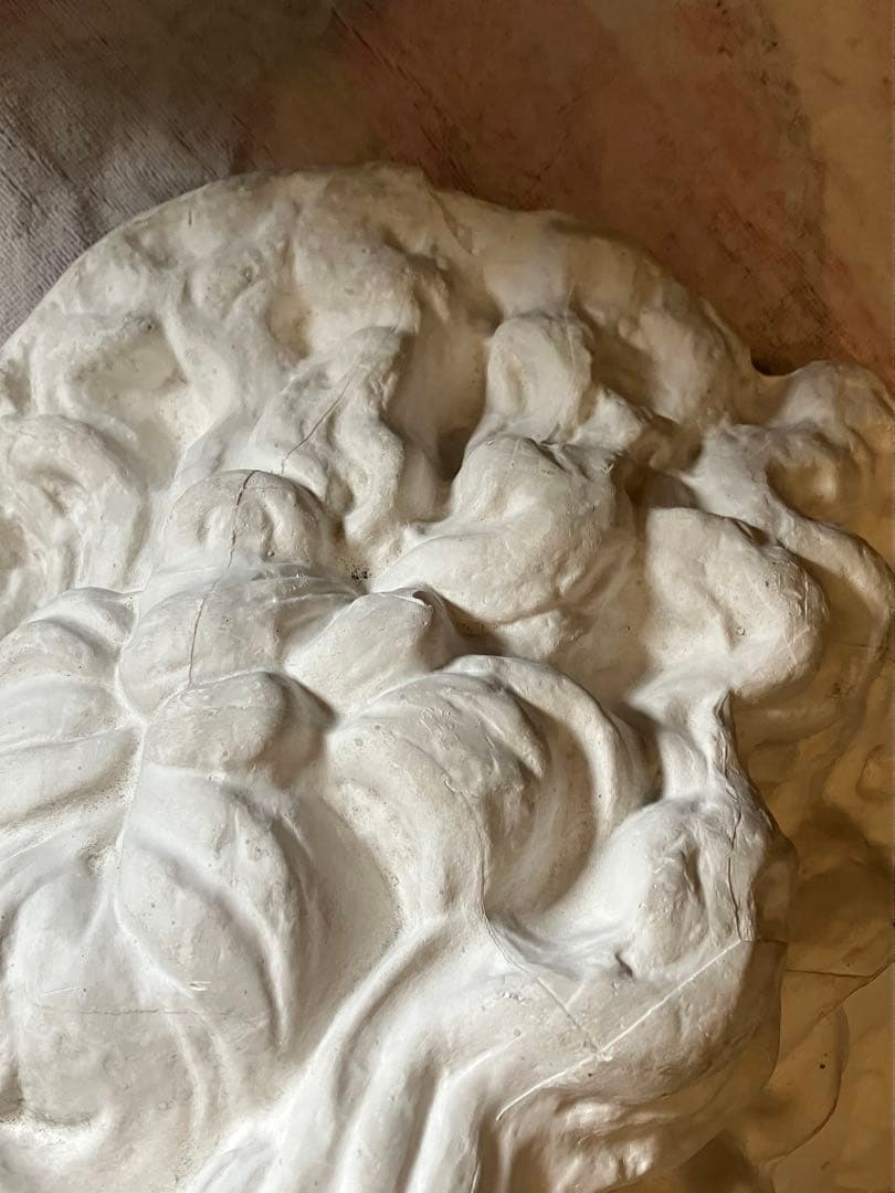 石膏像　モーゼ大顔面　基礎デッサン美大受験