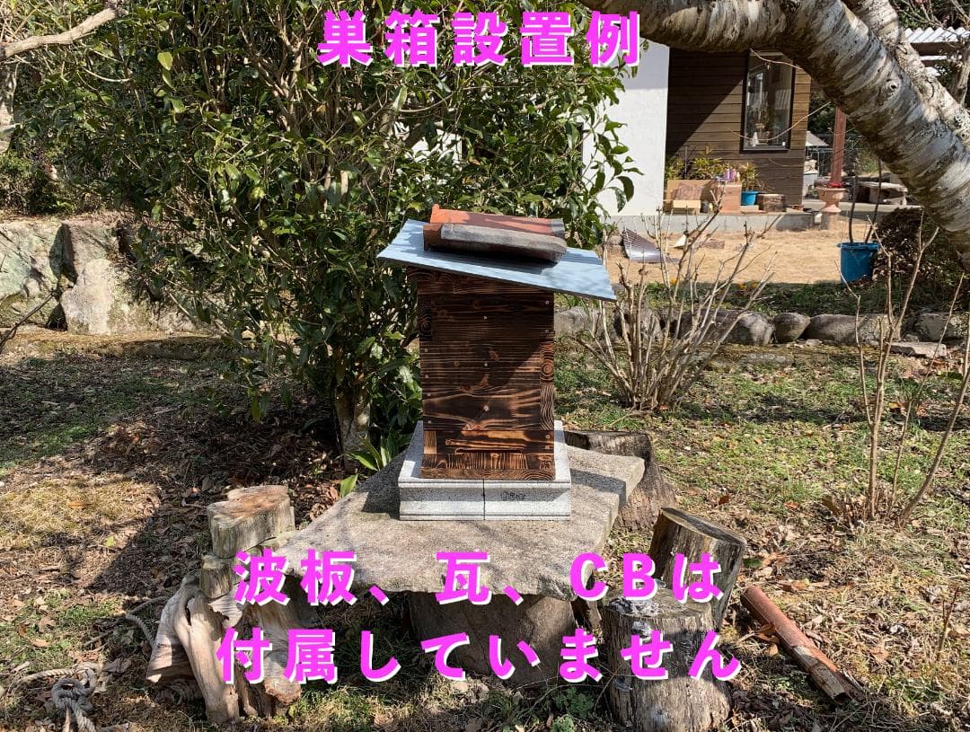 日本蜜蜂重箱式巣箱３段【巣落下防止ワイヤー着脱式】完成品 送料込