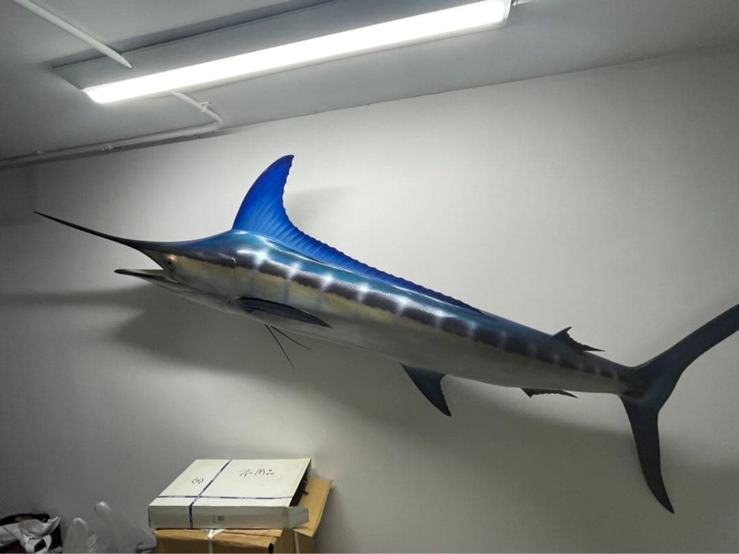 値下げ(^^)特大カジキ ストライプマーリン剥製 魚拓グラスファイバー