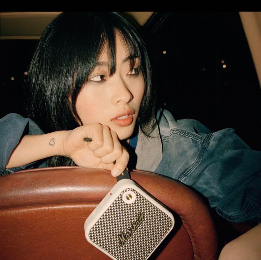 Marshall マーシャル ワイヤレス ポータブルスピーカー WILLEN