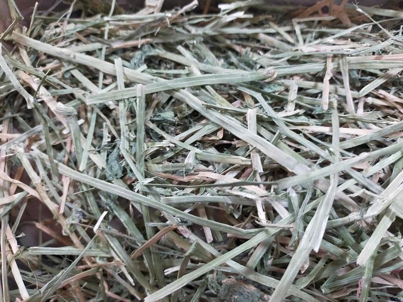 【処分価格】US産 チモシー 75kg ２番刈 ソフトSプレミアム