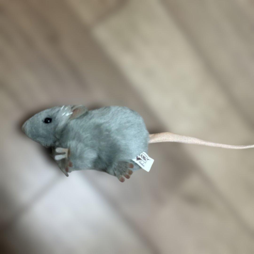 ダンマカ　オルカ　衣装