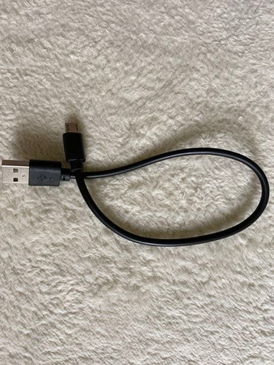 SONY ソニー WF-1000XM3 Bluetooth イヤホン