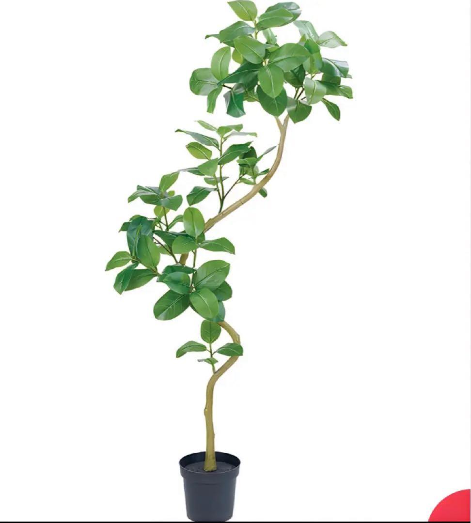 光触媒　人工観葉植物　ウォールグリーン　フェイクグリーン　アルテシマエレガンス2