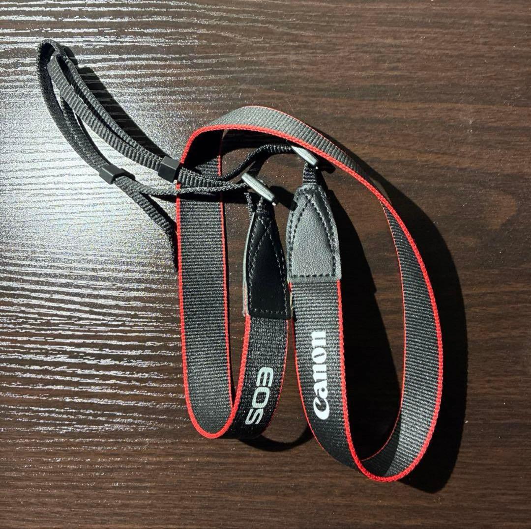 Canon EOS M100ミラーレスカメラ 22mmレンズ付き