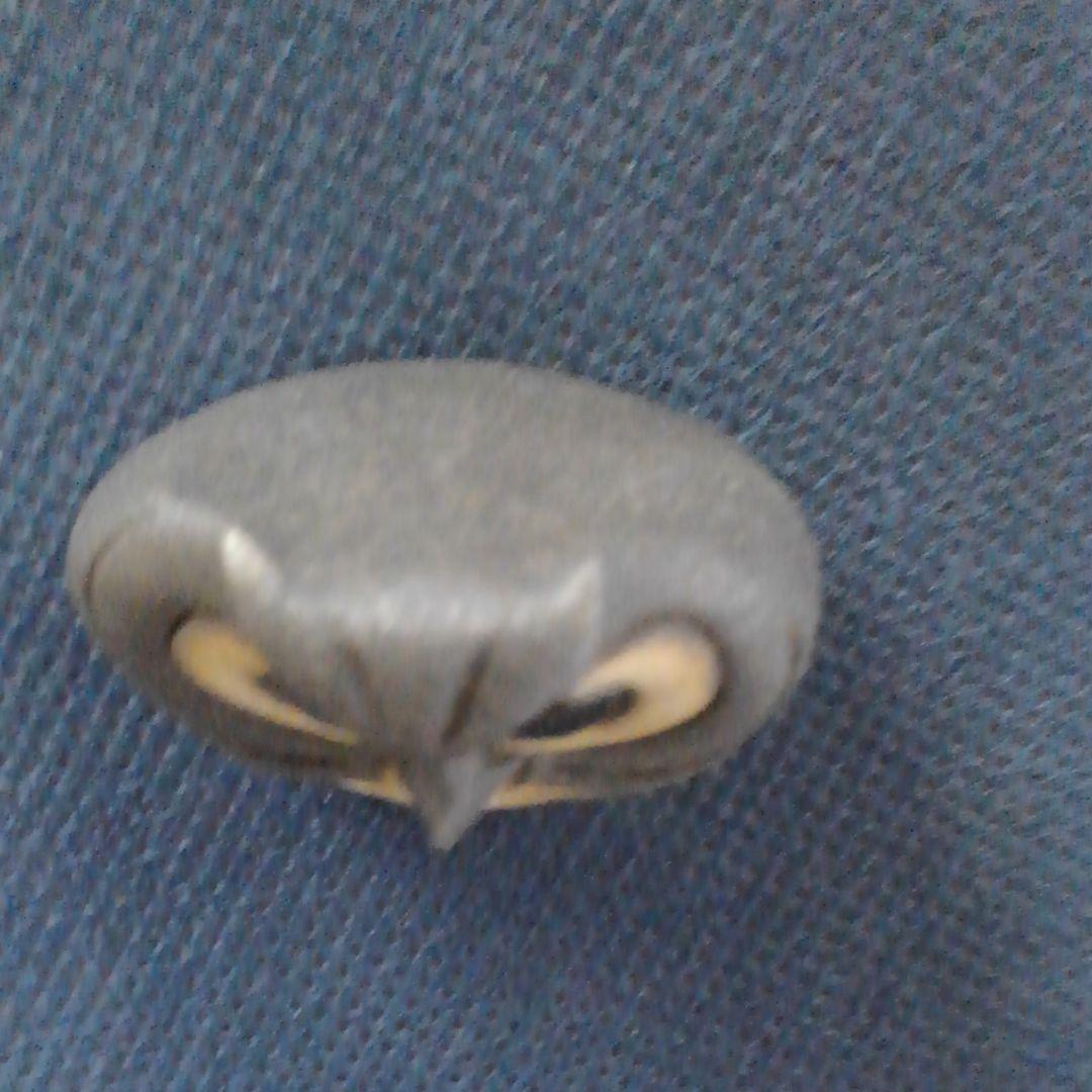 ♥️♥️珍しい！天然小石のフクロウ②