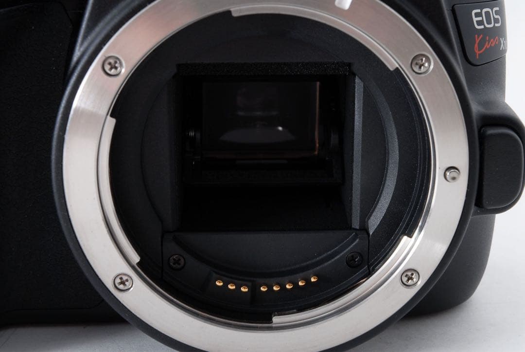 一眼レフカメラ/canon kiss x10 標準&望遠&単焦点レンズセット