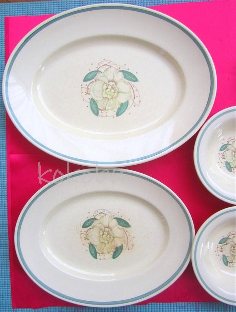 ８ピースセット【スージークーパー】ガーデニア（アースンウェアー）