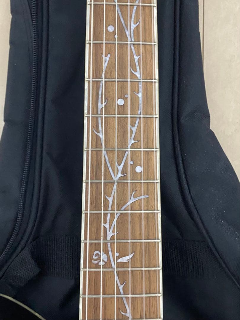 ギター Ibanez TOD10N Tim Henson Polyphia