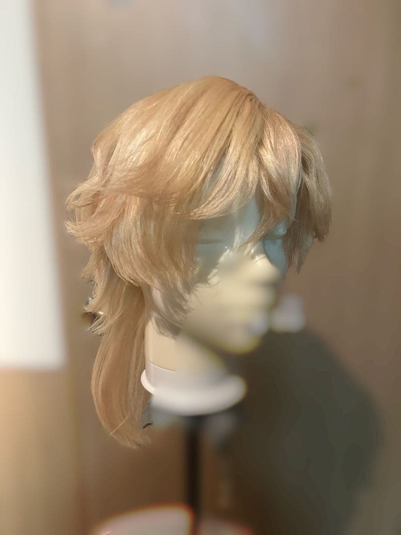 崩壊スターレイル アベンチュリン セット済造形ウィッグ キャラウィッグ