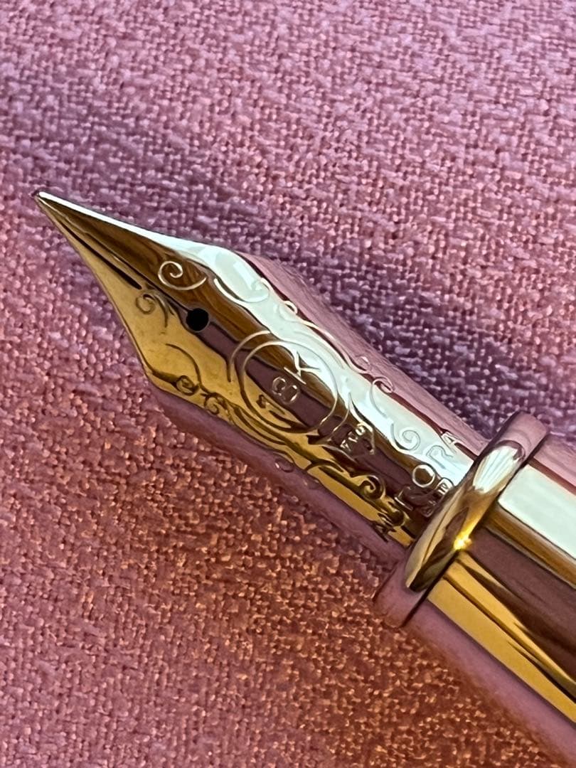 ☆説明確認の上購入してください☆アウロラ 万年筆 オチェアーノ アルティコ F