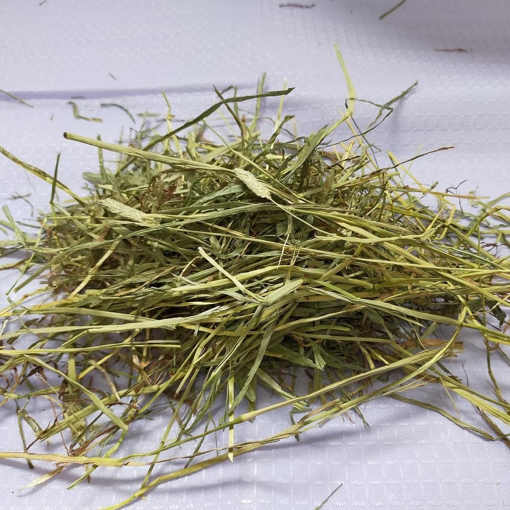 【4/30まで】US産 チモシー 50kg ２番刈り ソフトSプレミアム