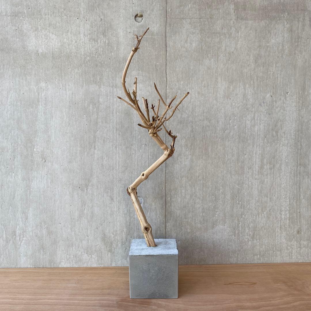 【コンクリート盆栽 流木オブジェ】ディスプレイ アート インテリア 鍵 爬虫類