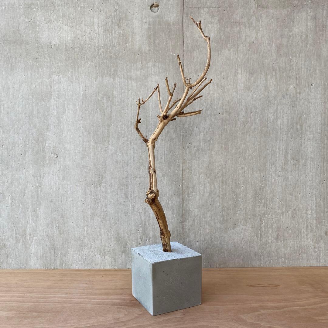 【コンクリート盆栽 流木オブジェ】ディスプレイ アート インテリア 鍵 爬虫類